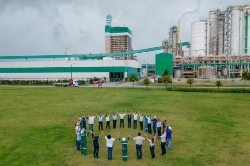 Foto: Divulgação - Veracel divulga o seu Relatório de Sustentabilidade 2024