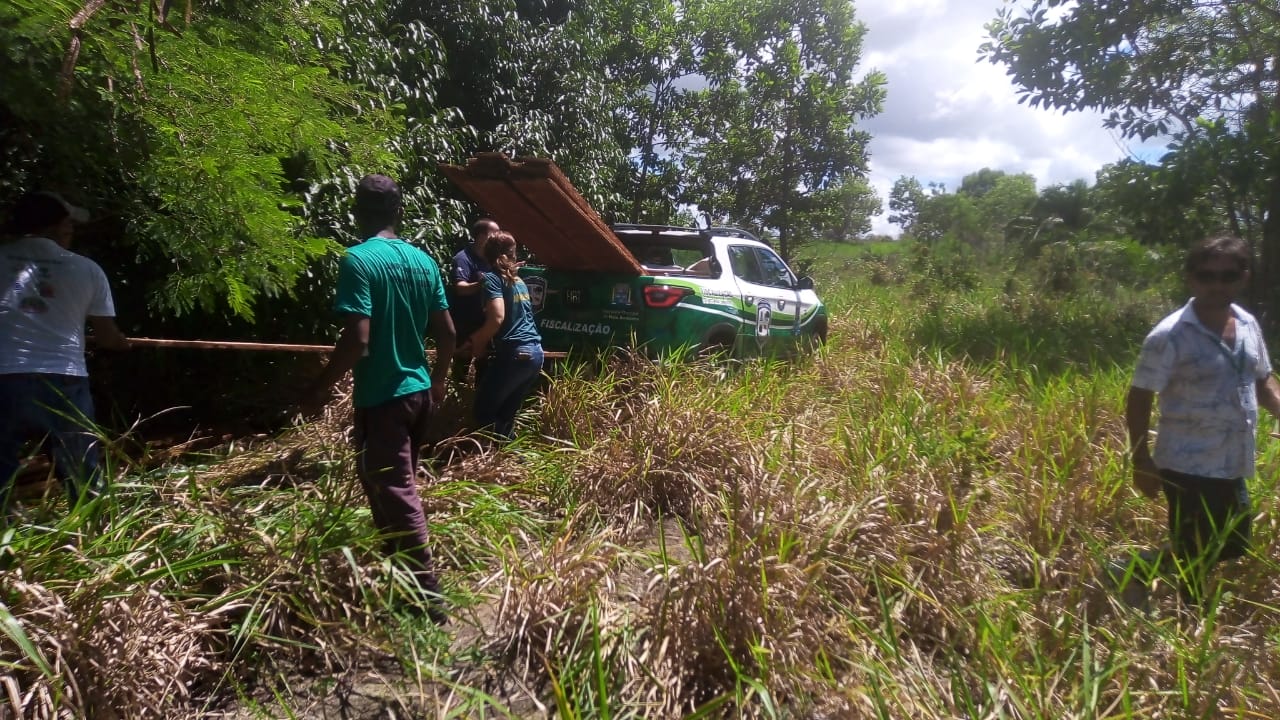 Ao ocorreu em uma mata prxima ao bairro Outeiro da Glria. (Foto: Divulgao)