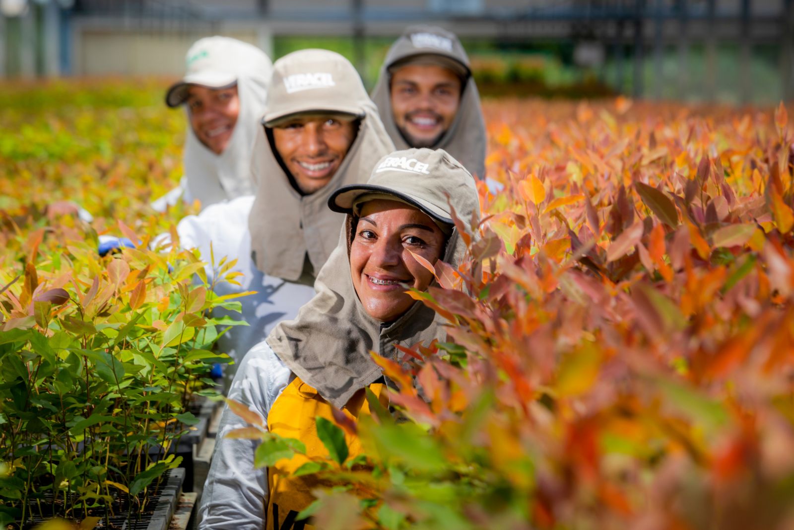 Veracel  considerada uma tima empresa para se trabalhar com ndice de 89% de favorabilidade apontado pelos colaboradores. (Foto: Divulgao/veracel)