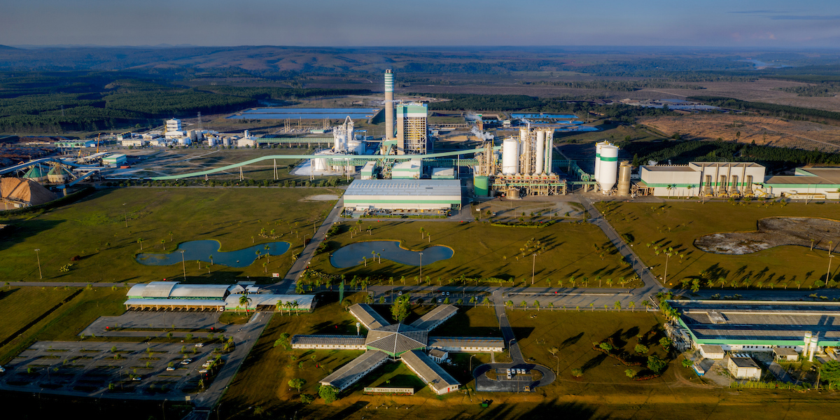 Alm de reduzir o volume de gua usado no processo fabril, tambm reciclou 99% dos resduos industriais.(Foto: Divulgao/Veracel)