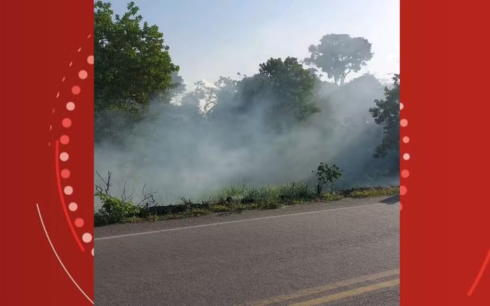 Homem  preso em flagrante enquanto usava isqueiro e combustvel para colocar fogo em vegetao em Porto Seguro - (Foto: Divulgao)