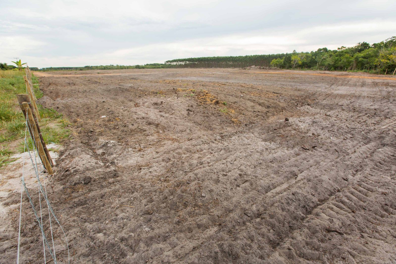 25 hectares de reas de recuo da Veracel entregues aos agricultores foram demarcados e preparados para o plantio. (Foto: Divulgao)