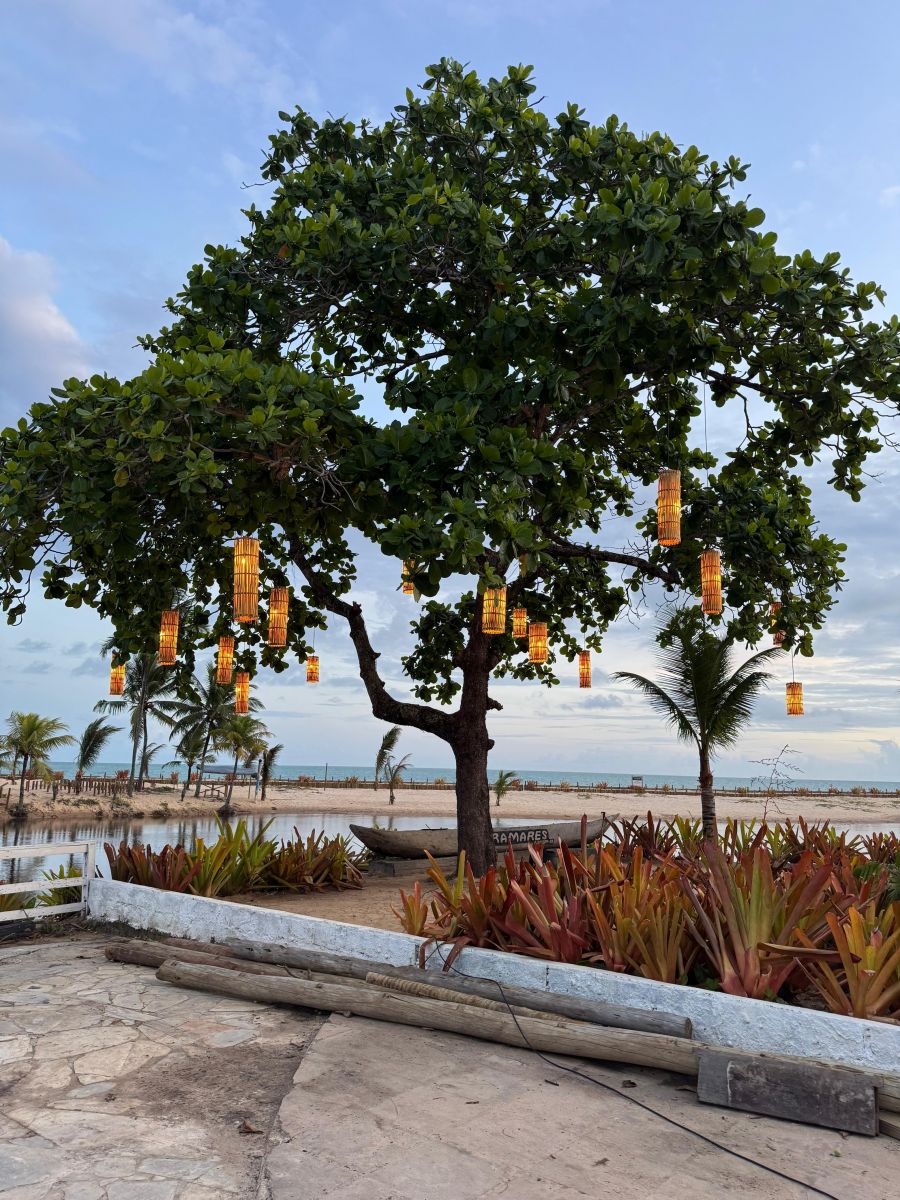 Porto Seguro: Cabana Barramares far reabertura com estrutura moderna e luau especial