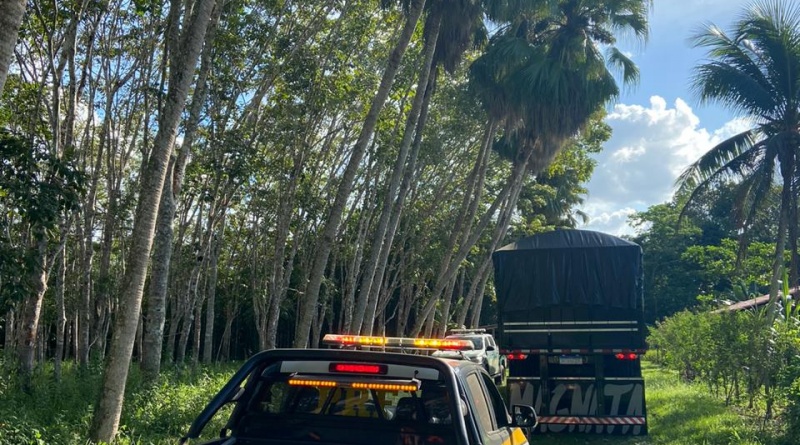 Carga de madeira sem documentao  apreendida na BR-101 em Eunpolis. (Foto: Divulgao)