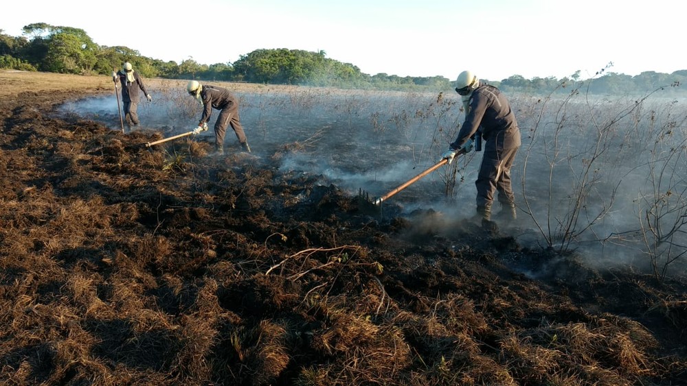 Equipes trabalham para controlar chamas em Trancoso  Foto: Divulgao/Corpo de Bombeiros