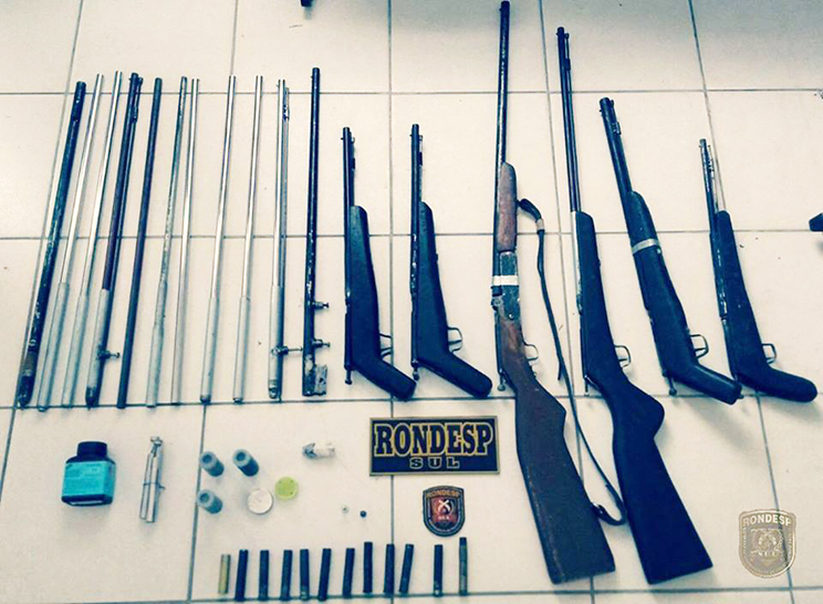 Arsenal de armas e munies so apreendidos com idoso de 72 anos. (Foto: Divulgao)