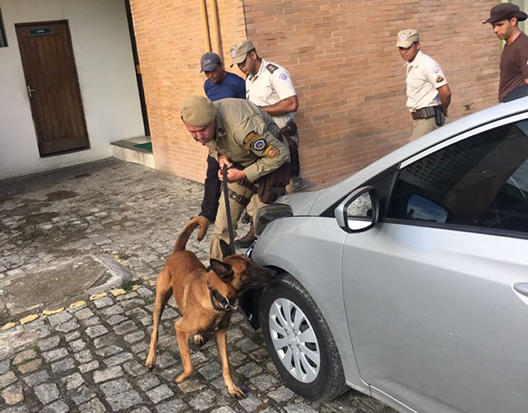 Polcia Militar promove instruo para conduo de ces farejadores. (Foto: Divulgao/PM)