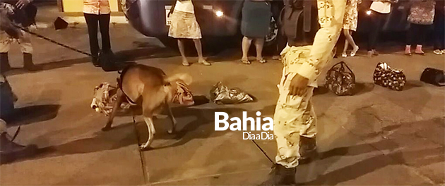 Buscas foram realizadas com o apoio do co policial. (Foto: Divulgao)