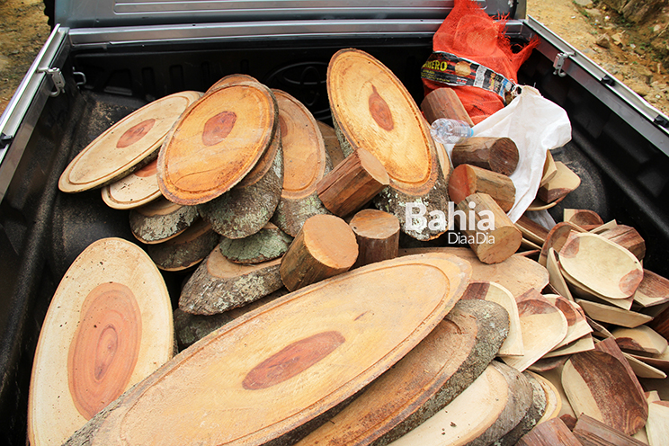 Madeiras eram extradas de forma ilegal do Parque Nacional do Monte Pascoal. (Foto:Alex Barbosa/BAHIA DIA A DIA)